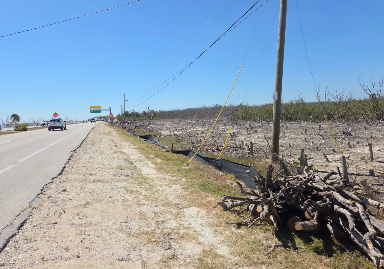 Land Clearing & Lot Clearing in Southwest Florida by Davie Tree Service