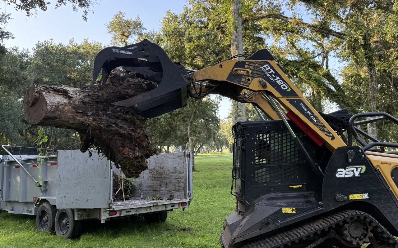 Stump Grinding & Removal in Southwest Florida