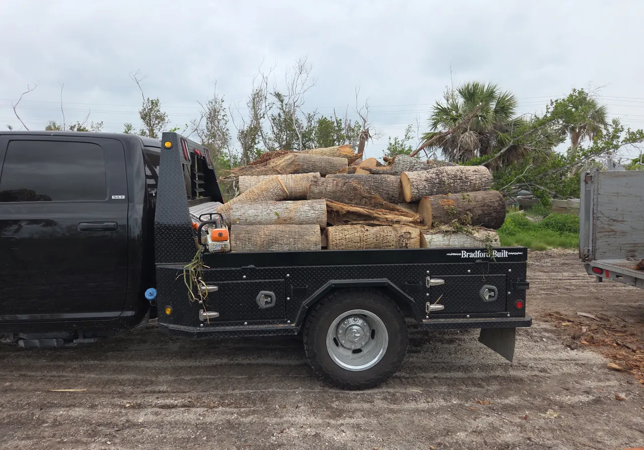 Cut logs loaded onto a work truck after tree removal