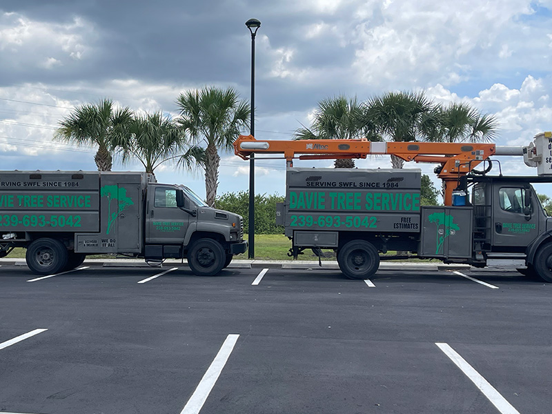 Professional Tree Treatment Service Trucks in Fort Myers